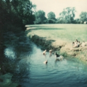 Swimming in the Mease